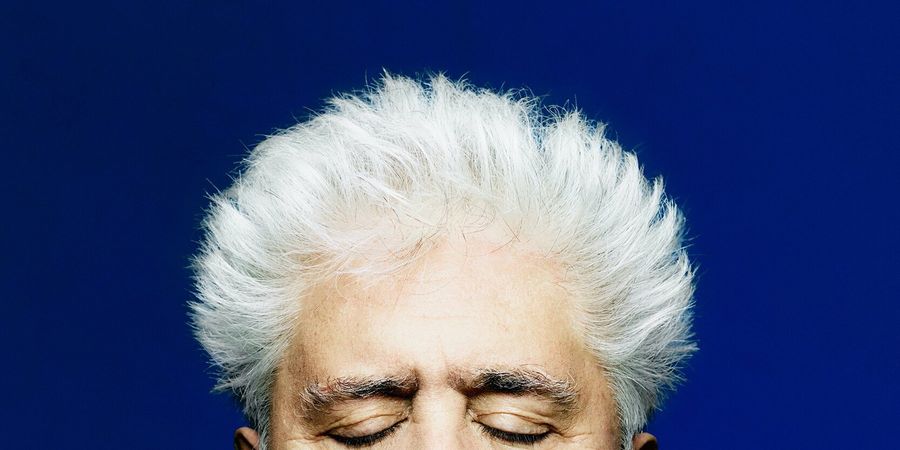 image - Toile Filante : La passion selon Almodóvar