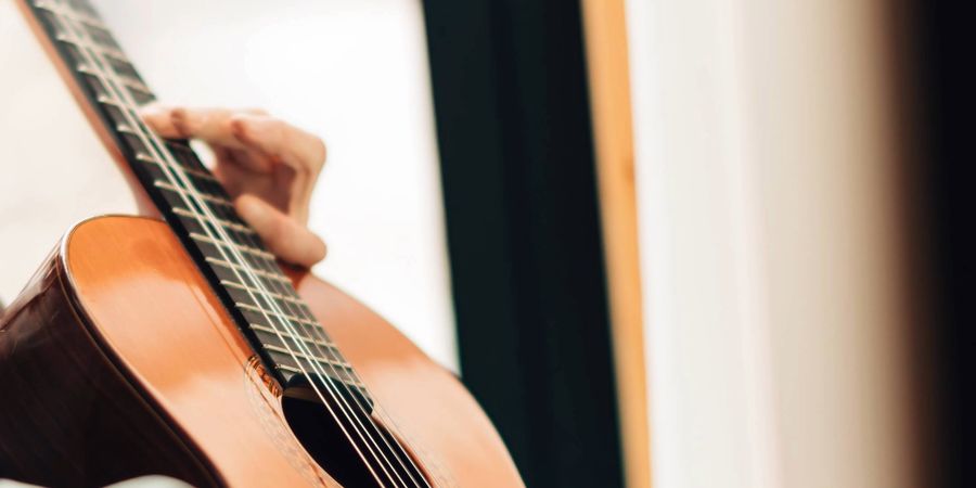 image - Guitarra Con Compañeros