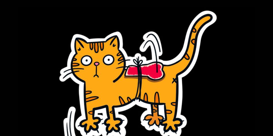 image - Match d'impro