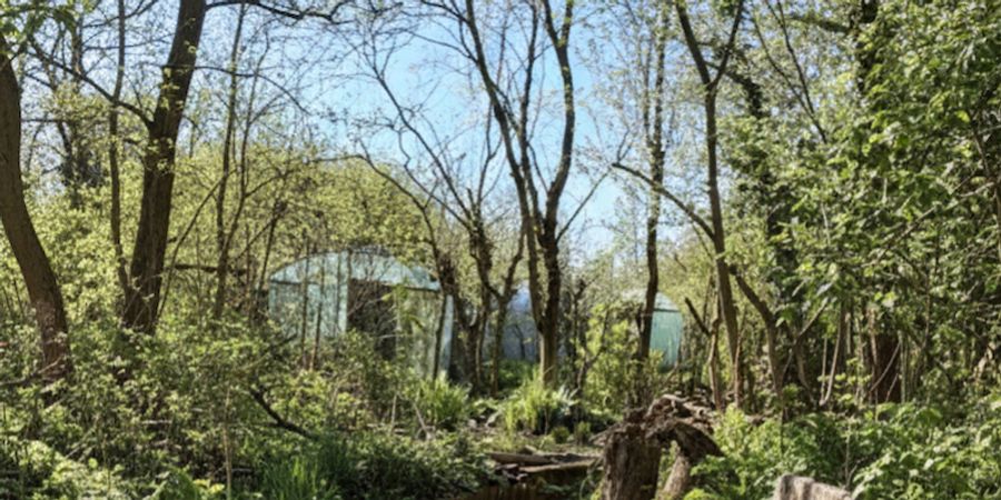 image - Le jardin du futur