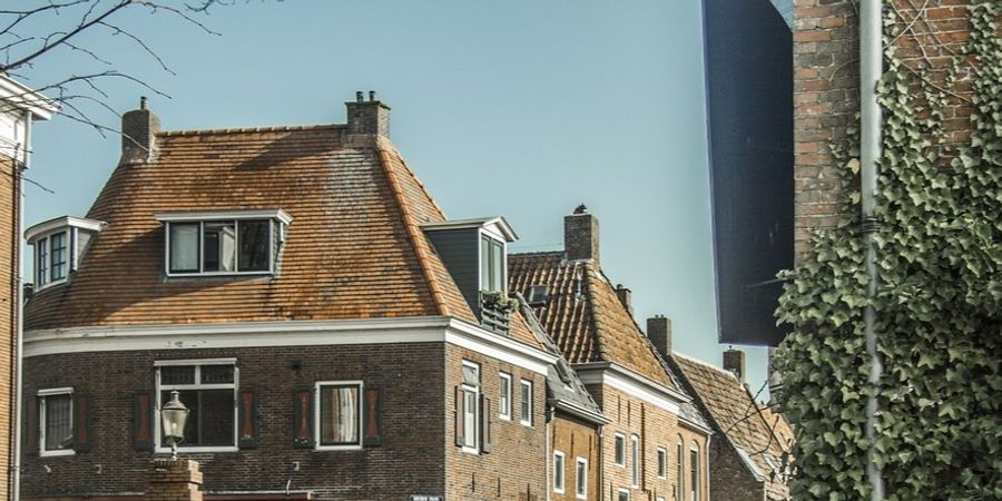 image - Les Pays Bas, si proches et si différents