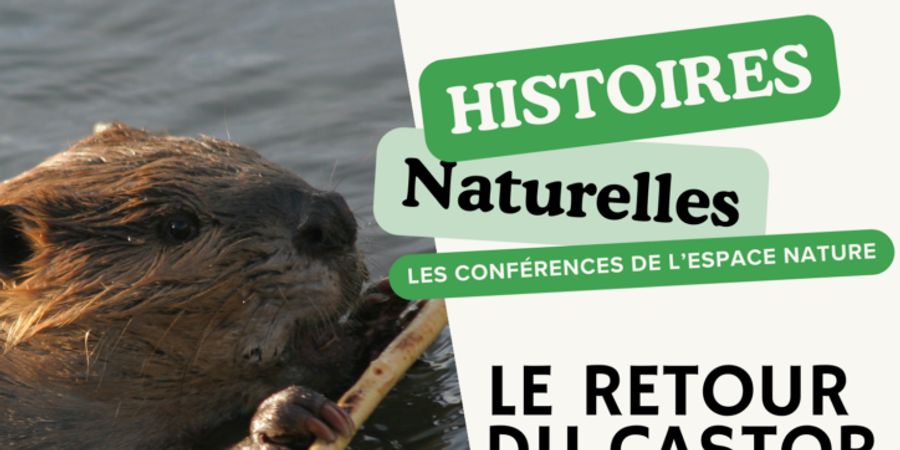 image - Conférence : 