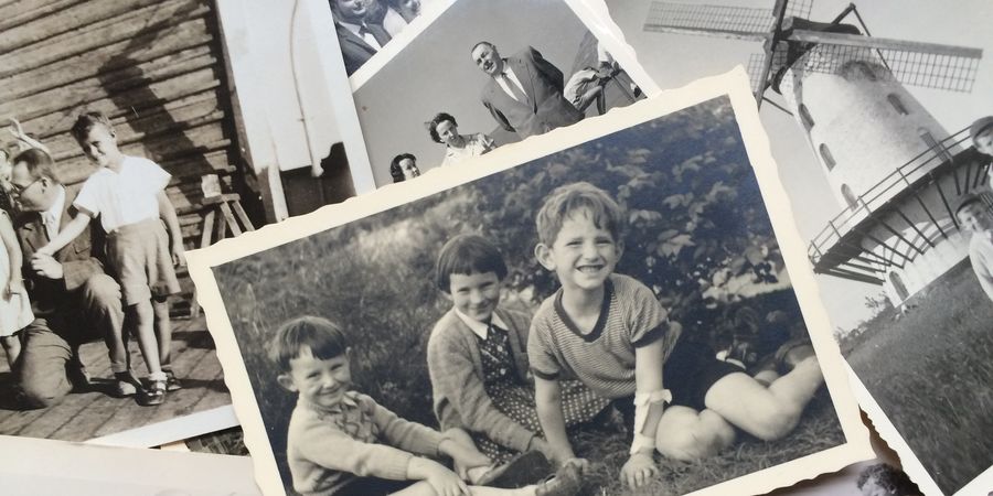 image - Les nuits d'encre | Auprès de mon arbre à Nivelles