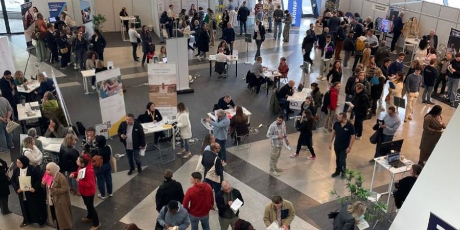 image - Talentum Mons