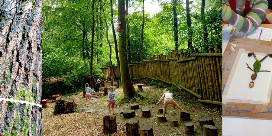 image - Stage été - création en forêt