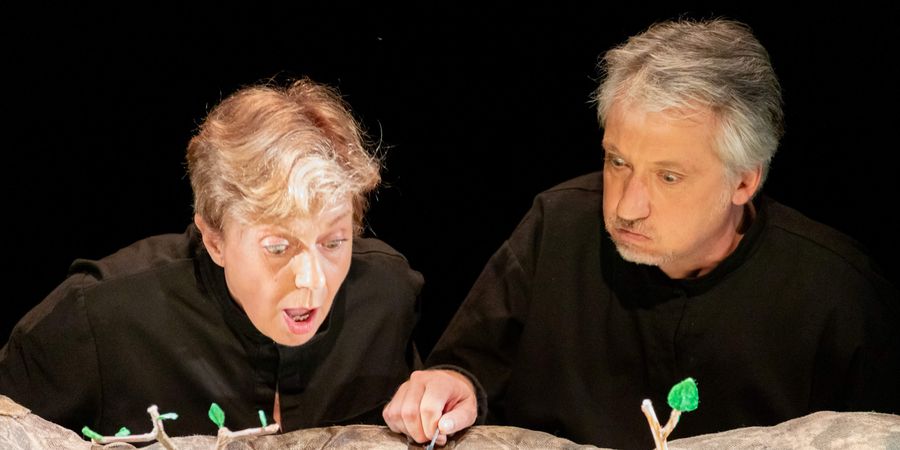 image - Inséparables