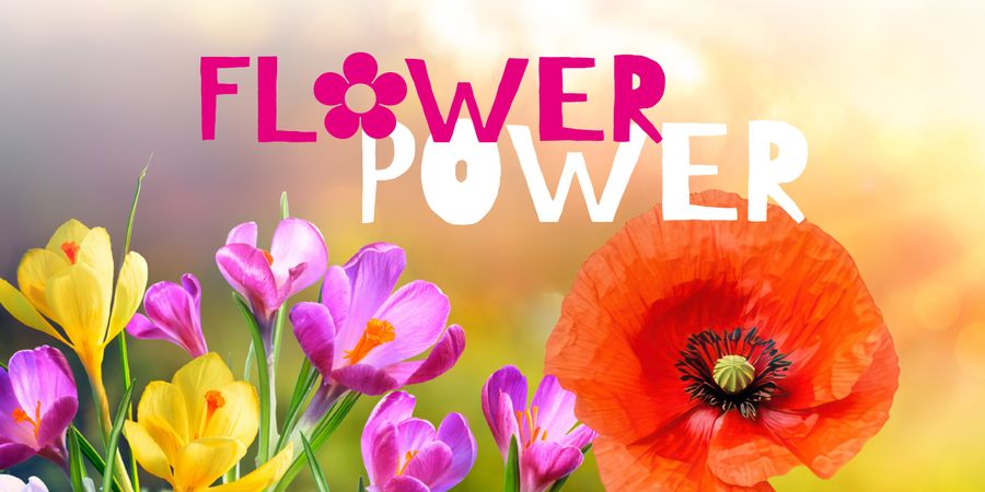image - Flower Power