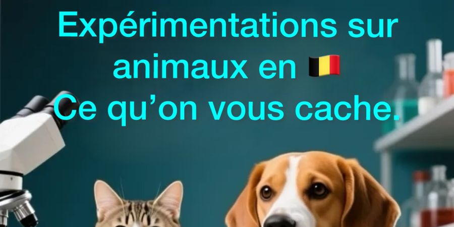 image - Conferentie DierAnimal