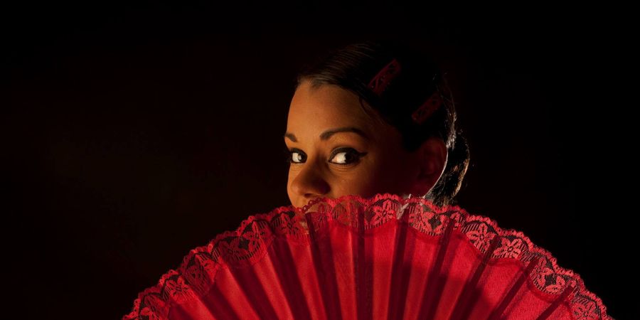 image - El Color del Flamenco 