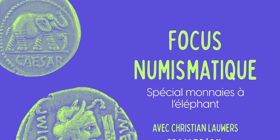 image - Focus Numismatique - Spécial monnaies à l'éléphant | Musée du Malgré-Tout 