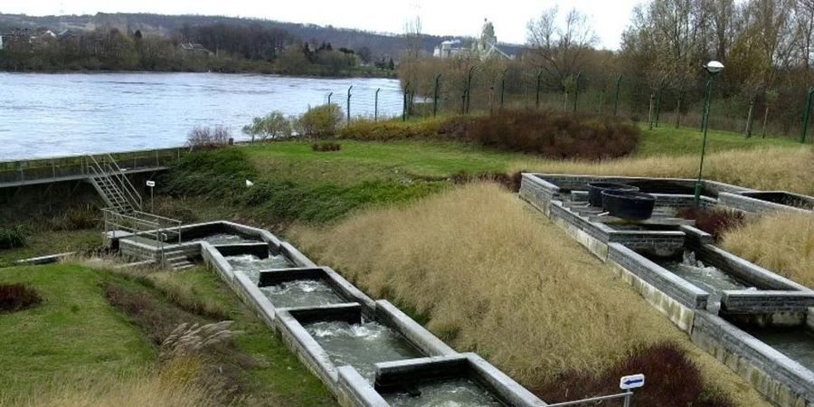 image - Visite exceptionnelle de l’échelle à poisson du barrage de Lixhe