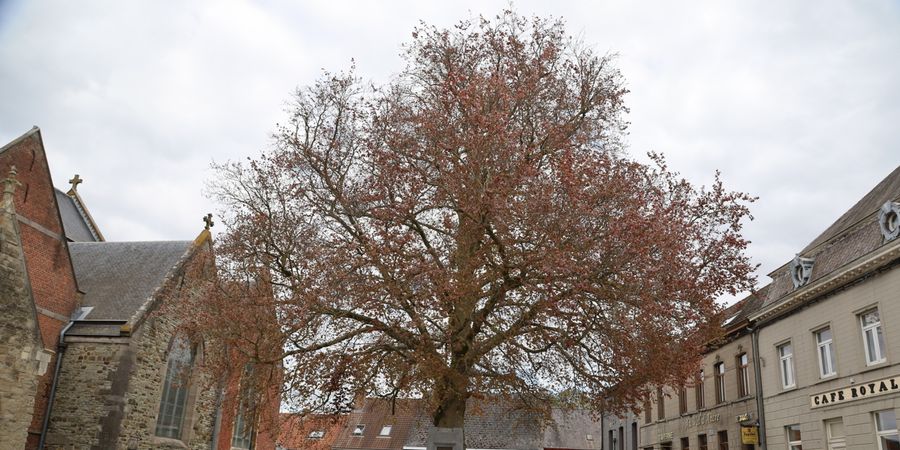 image - Découverte ludique du coeur de Flobecq 
