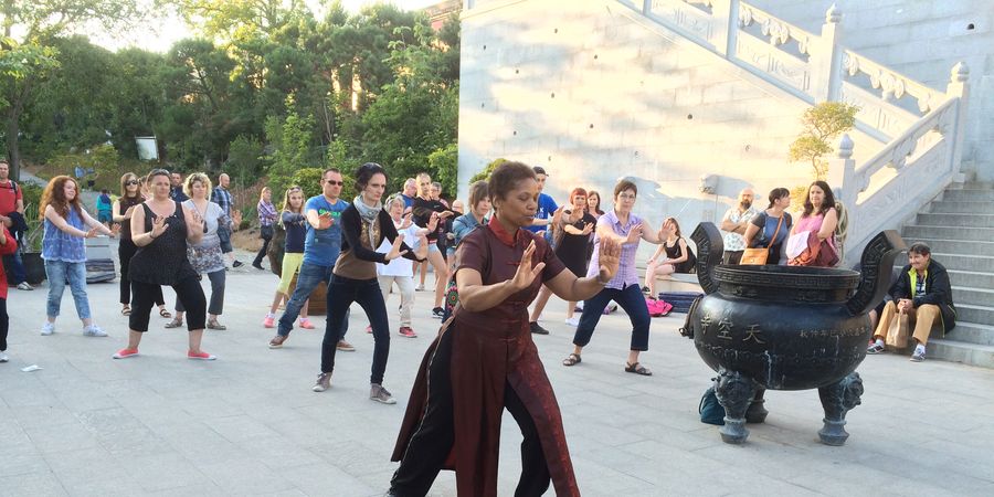 image - Journée internationale de Taijiquan