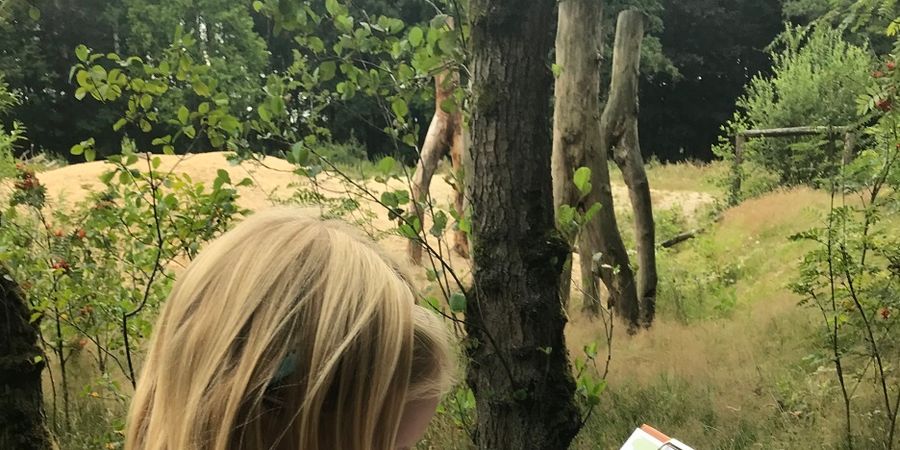 image - De Burburewandeling - ‘Een speurtocht op het kasteeldomein’