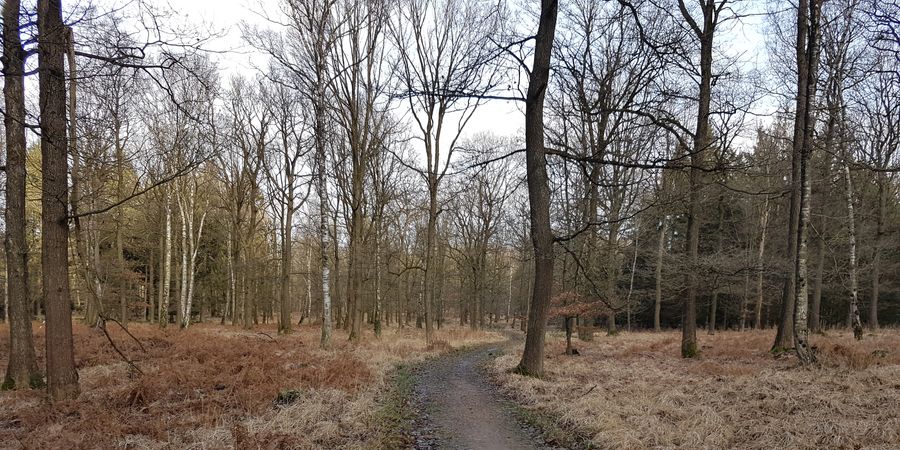 image - Balade entre Menbach et Eupen