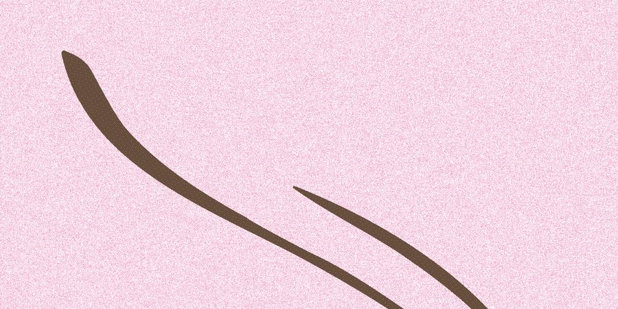 image - Des marges à la page - Rencontre