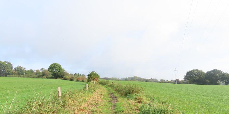 image - Les sentiers d'antan 