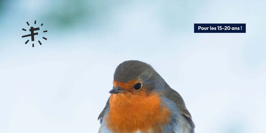 image - Photographes nature