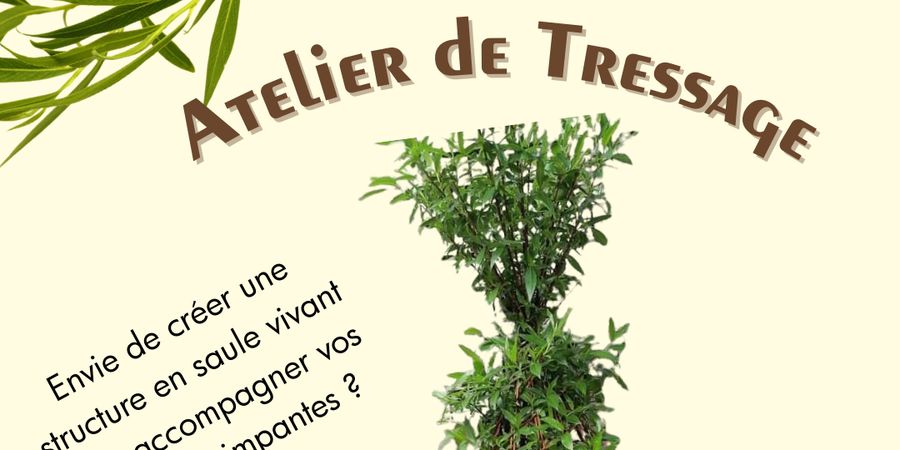 image - Atelier - Architecture végétale - Tontine à emporter