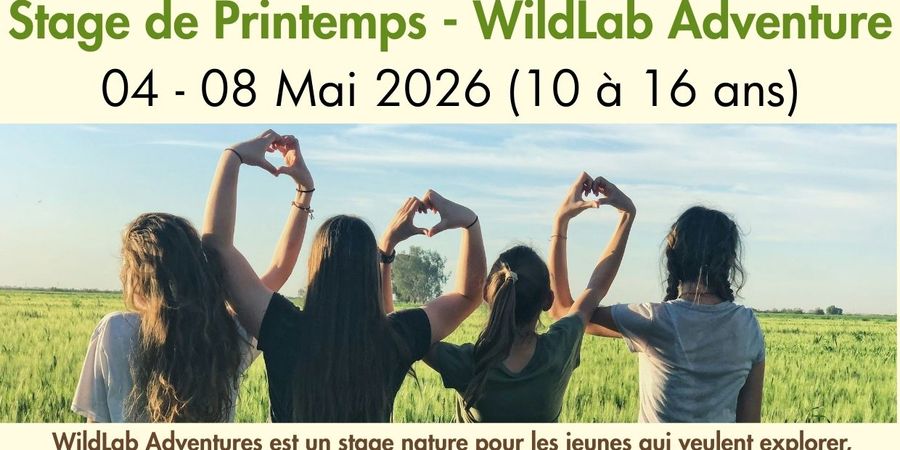 image - Stage - Wildlab Adventure