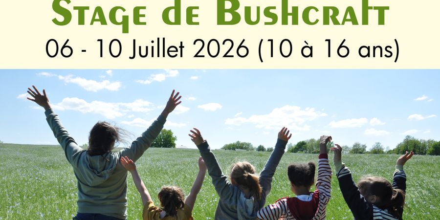 image - Stage de Bushcraft : l’art de vivre au naturel