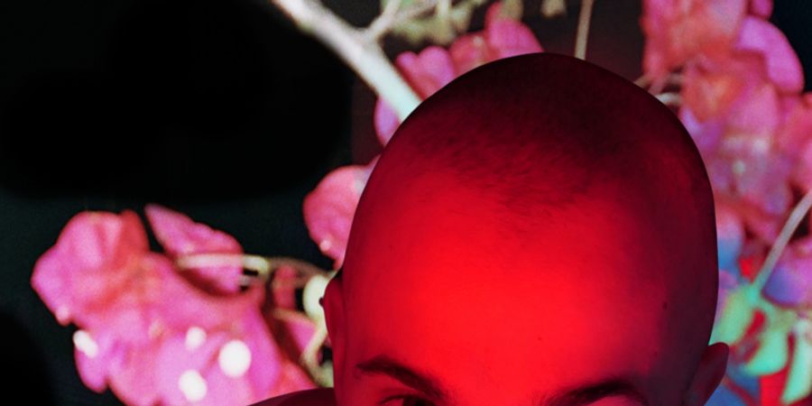 image - Fuck me Blind | Matteo Sedda