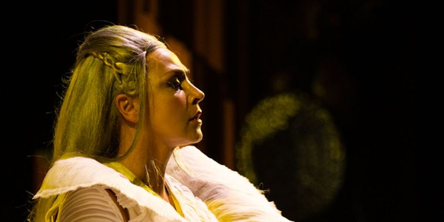 image - Ai Weiwei's Turandot