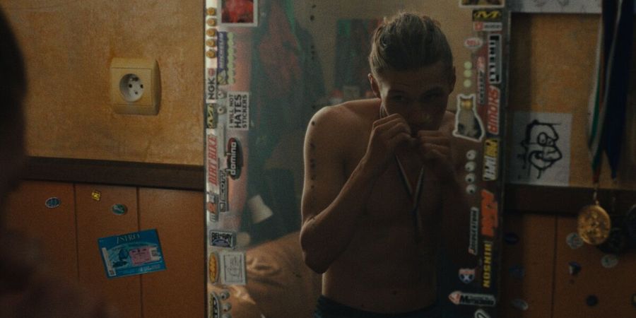 image - La danse des Renards