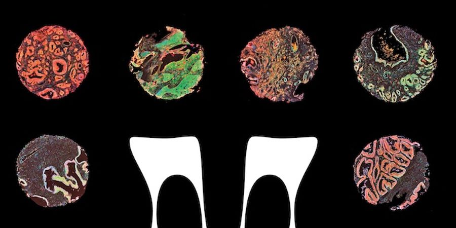 image - Maloca presents, Katatonic Silentio + Tristan Arp + Yuto Takei + Le Motel & Coline Cornélis