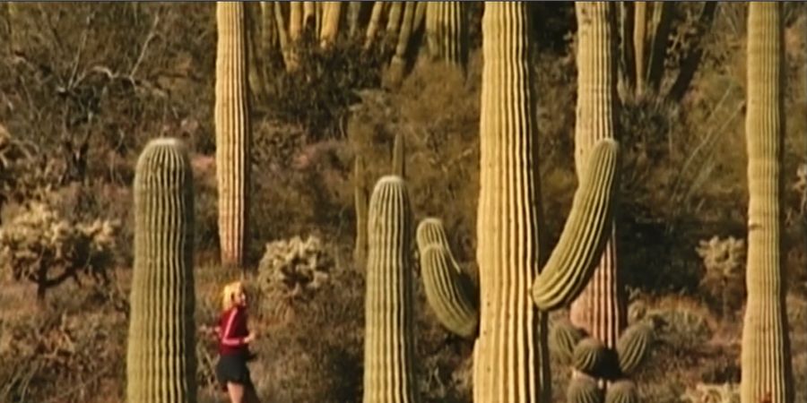 image - Millenium Festival - Love-22-Love