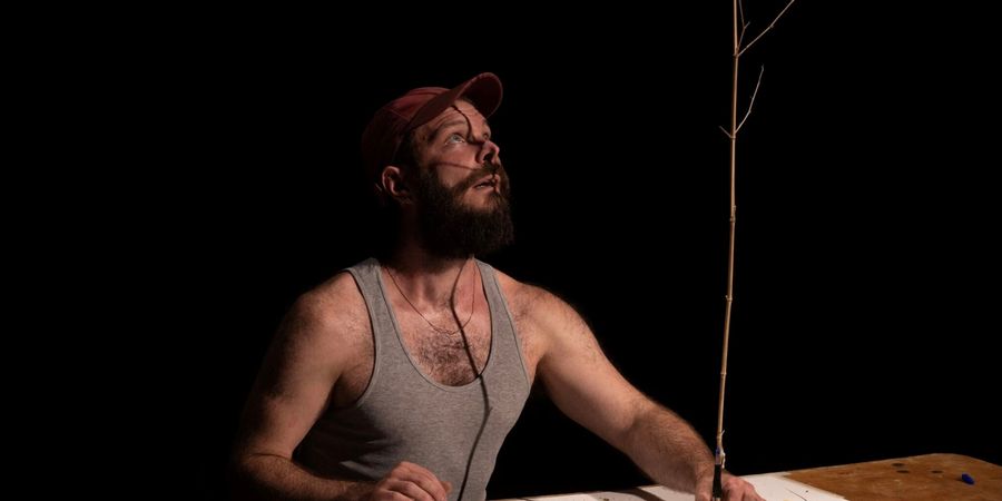 image - D Festival : THE LABYRINTH