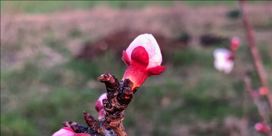 image - Musea van Fermentatie