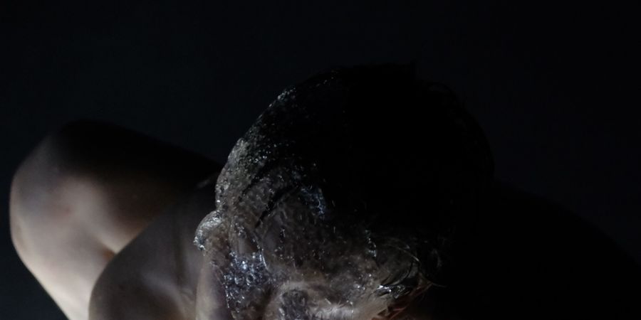 image - Astrid Sweeney Ontogenesis Dreams