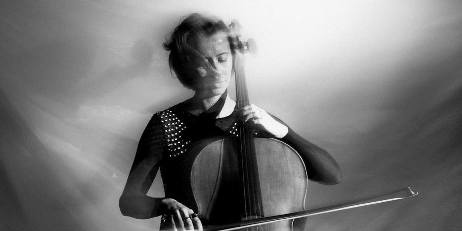 image - Nina Vanhoenacker presents 'An Unbalanced Piece Of Wood'