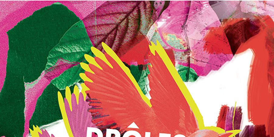 image - Défi(L)er ! 