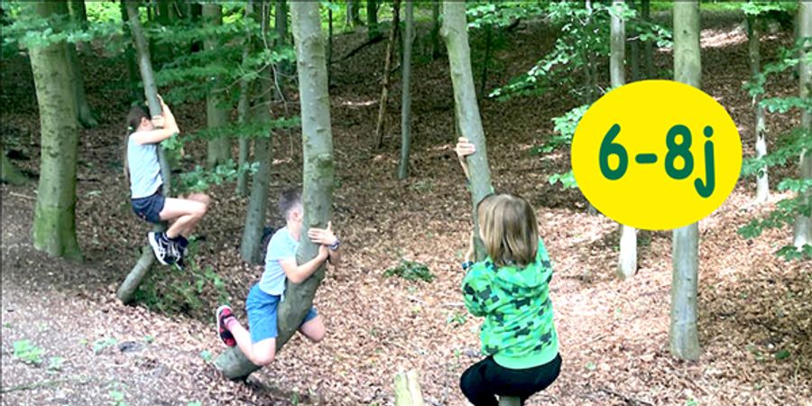 image - Speelweek 'Crossen in de bossen' (6-8 jaar)