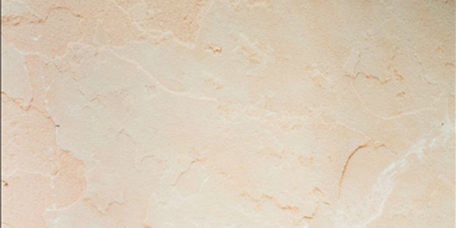 image - Fermenteren en wildplukken