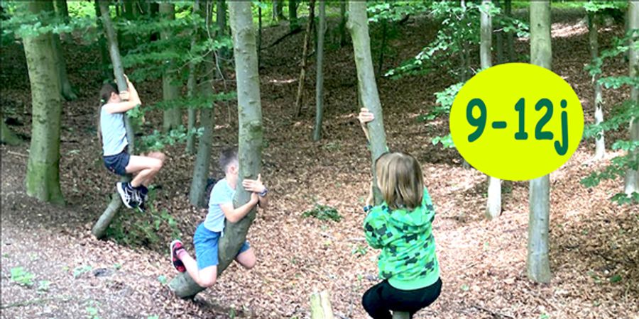 image - Speelweek 'Crossen in de bossen' (9-12 jaar)