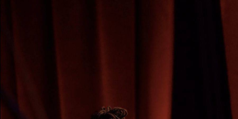 image - BRUSSELS SALSA PROYECT