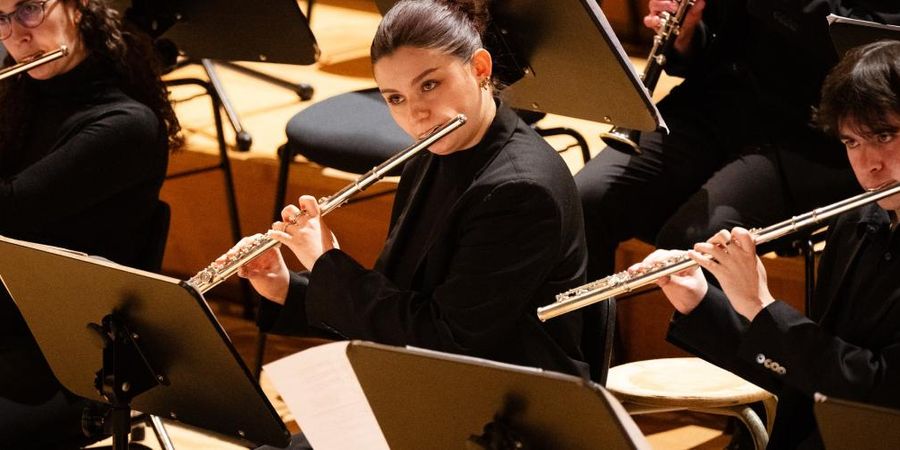 image - Magic Flutes in Concert