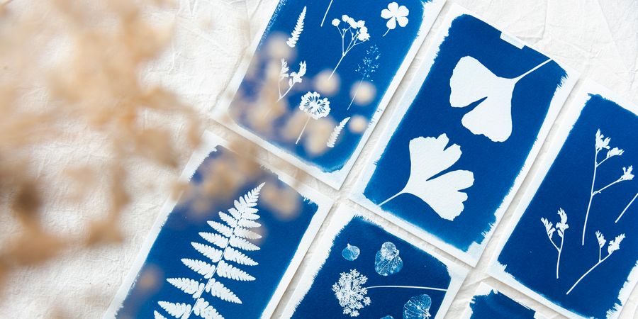 image - Impression d'un herbier au cyanotype