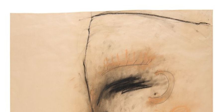 image - Pour une muséalité compagne. L’expérience du Trinkhall Museum par Carl Havelange.