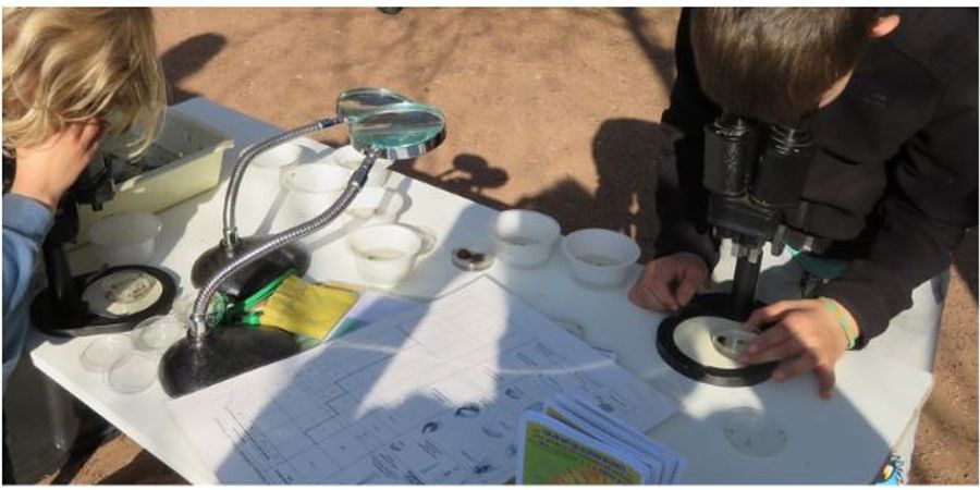 image - L'eau, source de vie