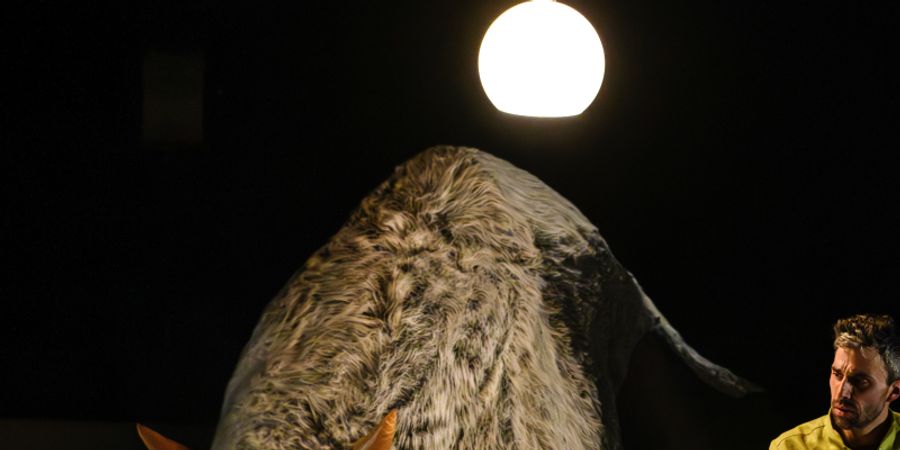 image - Fils de bâtard