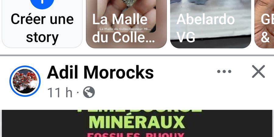 image - 4eme Bourse aux minéraux fossiles et coquillage