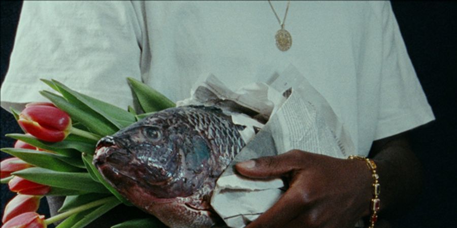 image - Jeune cinéma belge / Jonge belgische cinema #21