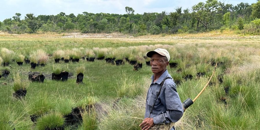image - Ghost Elephants