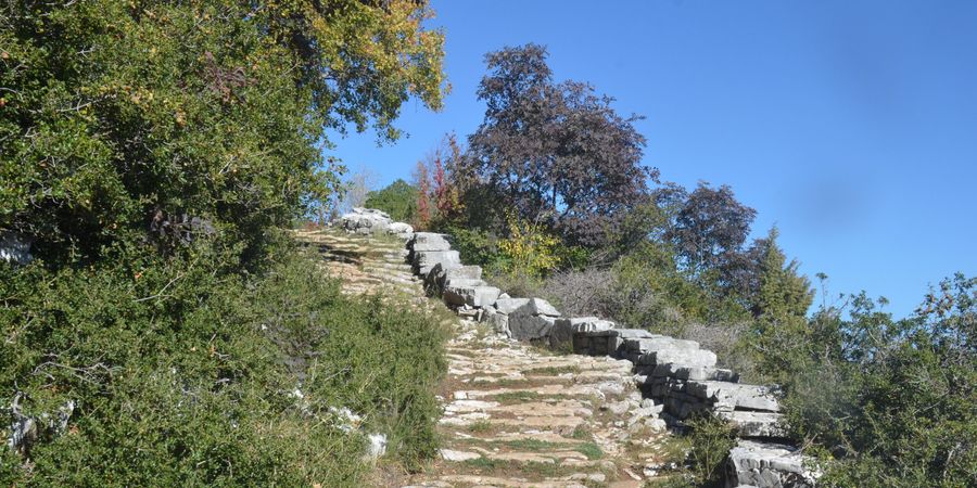 image - leesvoorstelling