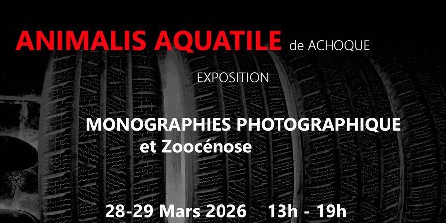 image - Animalis Aquatile