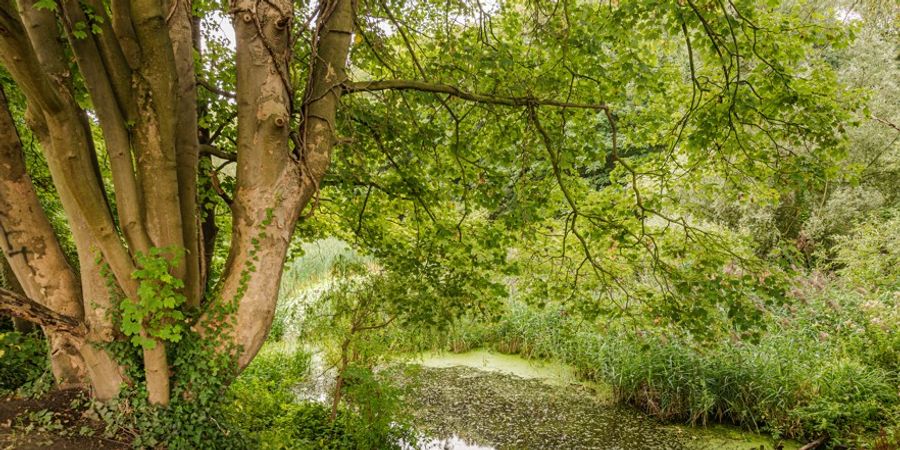 image - Evere, le Geuzenberg, le Moeraske, le Kerkebeek et le Moulin